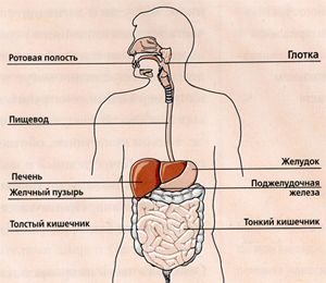 Детские неврозы: как помочь своему ребенку?